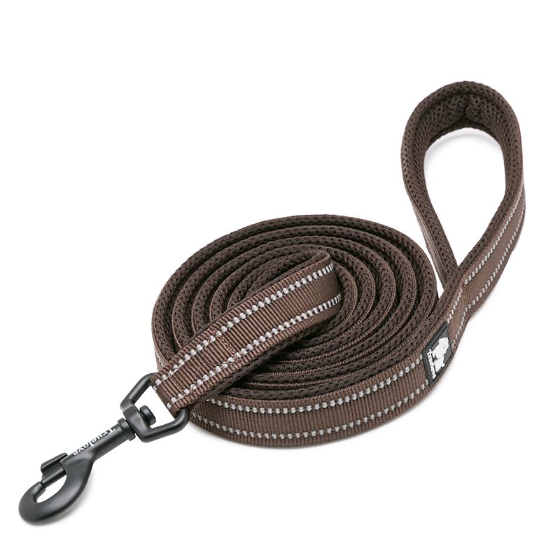 Reflective Leash