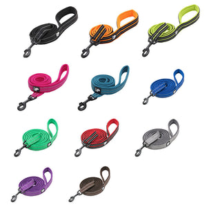 Reflective Leash