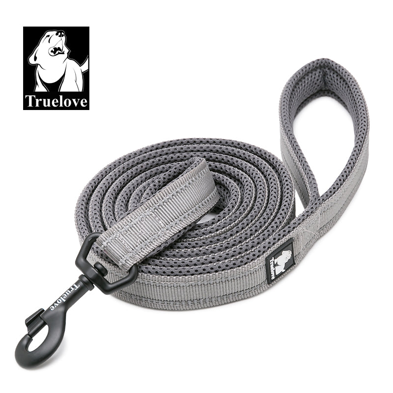 Reflective Leash