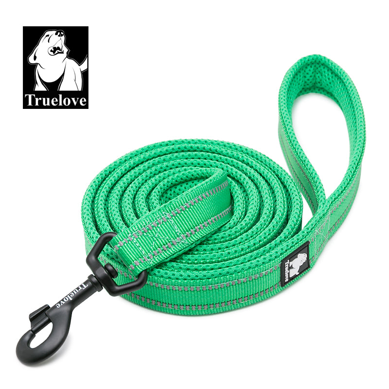 Reflective Leash