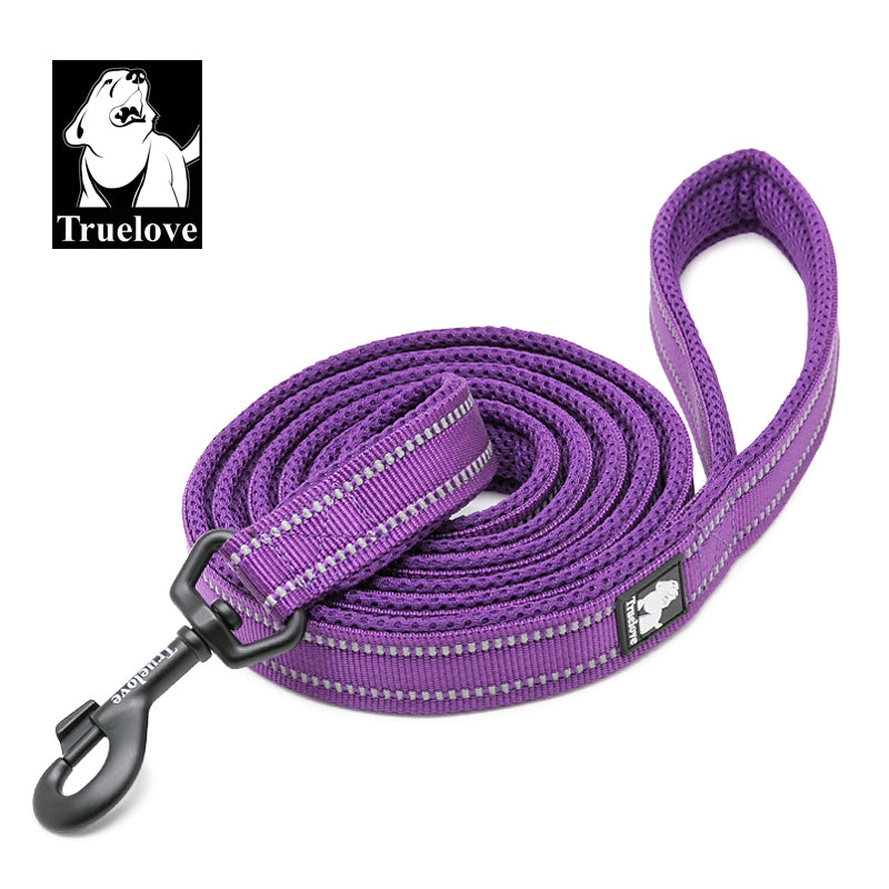 Reflective Leash