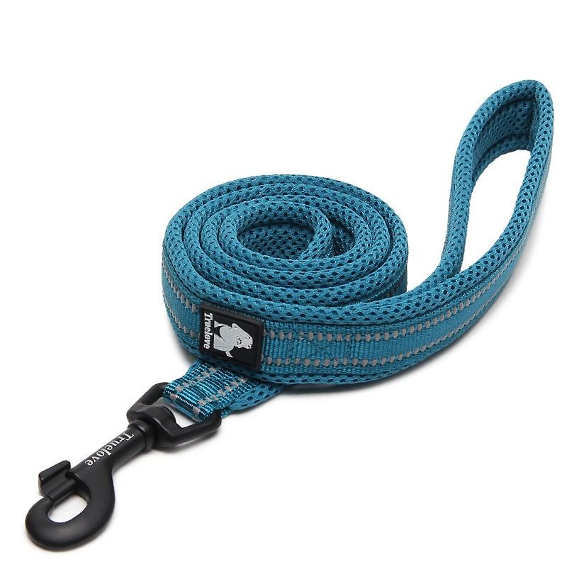 Reflective Leash