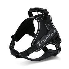 Black No-Pull Harness