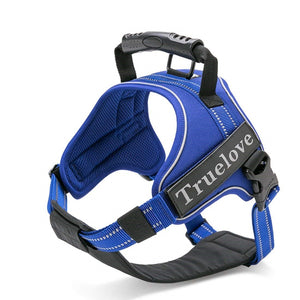 Blue No-Pull Harness
