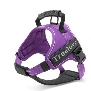Purple No-Pull Harness