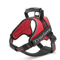 Red No-Pull Harness