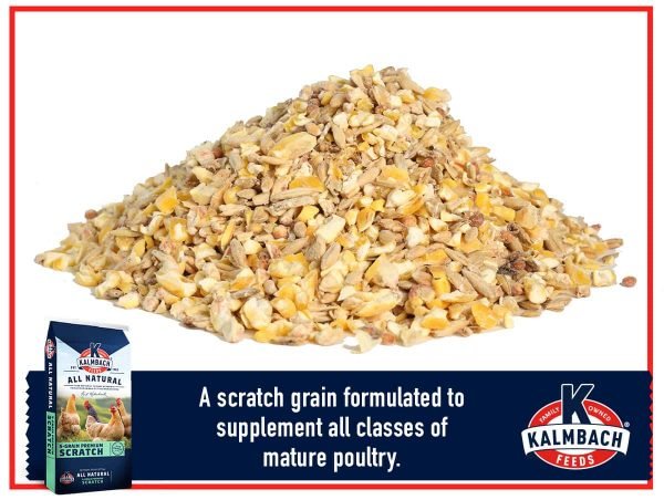 5-Grain Premium Scratch Grain