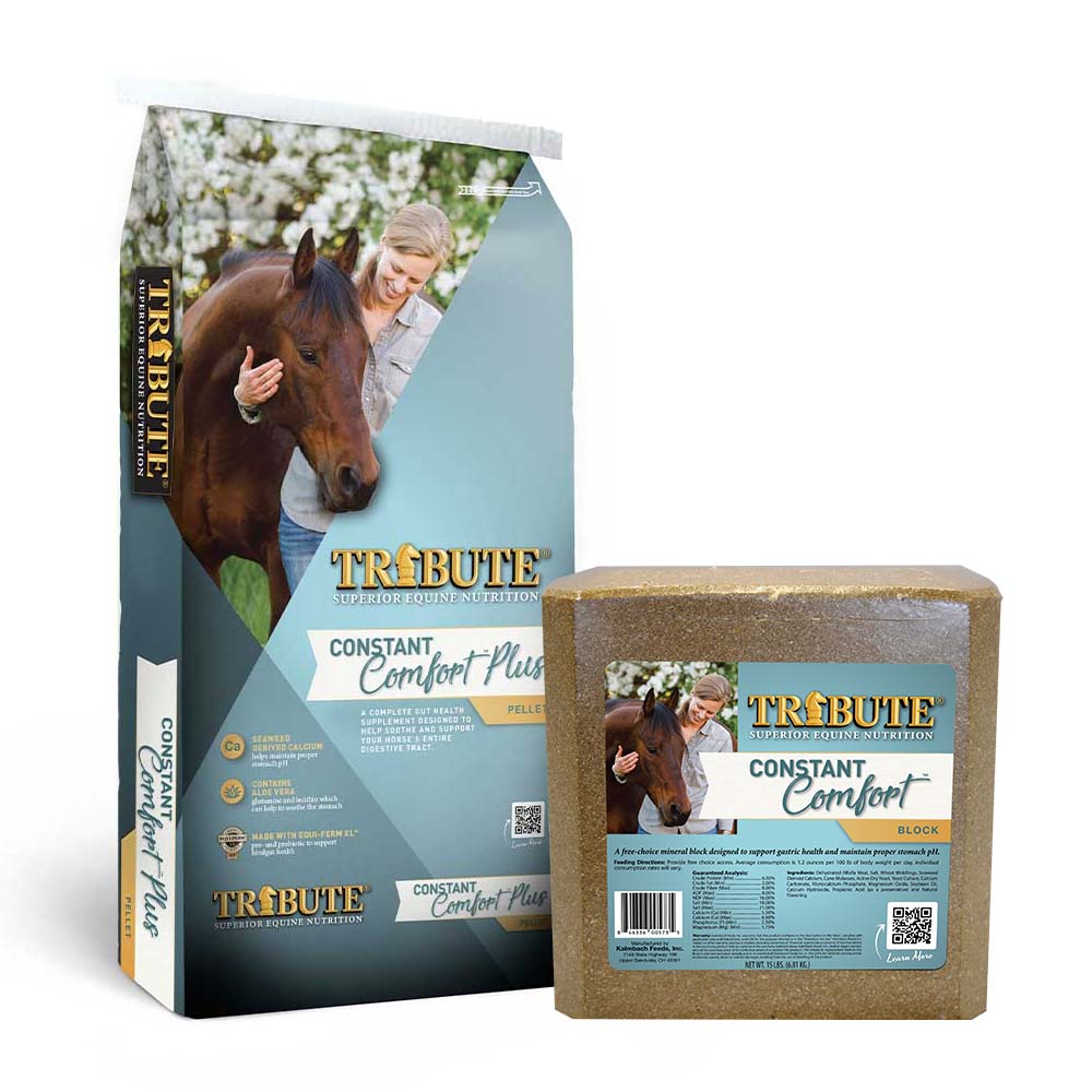 Constant Comfort® Total Gut Health System